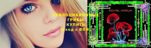 стафф Алзамай