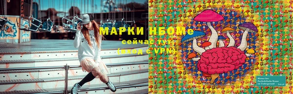apvp Аркадак