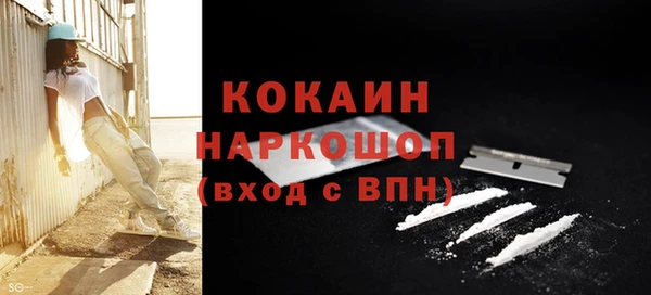 apvp Аркадак