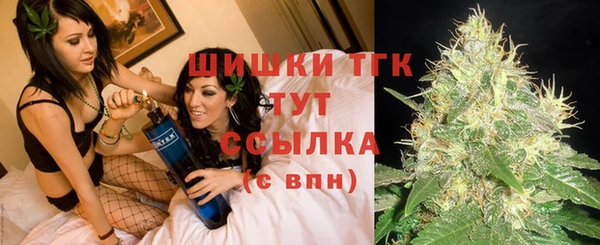 гидра Армянск