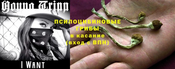 гидра Армянск