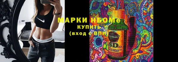 apvp Аркадак
