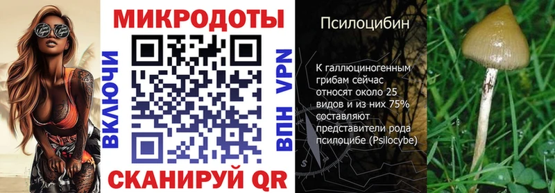 даркнет сайт  hydra как войти  Галлюциногенные грибы Magic Shrooms  Оса 